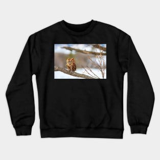 Little Darling Crewneck Sweatshirt